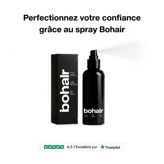 Le spray fixateur